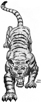 Tiger by David A. Ullery